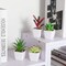 Set of 6 Mini Artificial Succulents in White Ceramic Pots – Lifelike Faux Small Potted Plants for Home, Office Desk, Shelf, Bathroom & Modern Room Decor